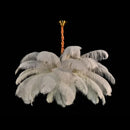 Axyaa Nordic Feather LED Pendant Lamp: Stylish Indoor Hanging Light for Home Decor