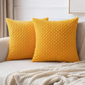 Axyaa Super Soft Corduroy Throw Pillows for Home Decor Sofa Bedroom Living Room