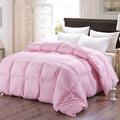 Axyaa Winter Goose Down Quilted Blanket for King and Twin Size