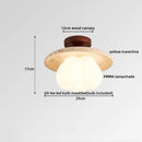 Axyaa Nordic LED Ceiling Light Stone Wood Ball Luxury Ceiling Lamp