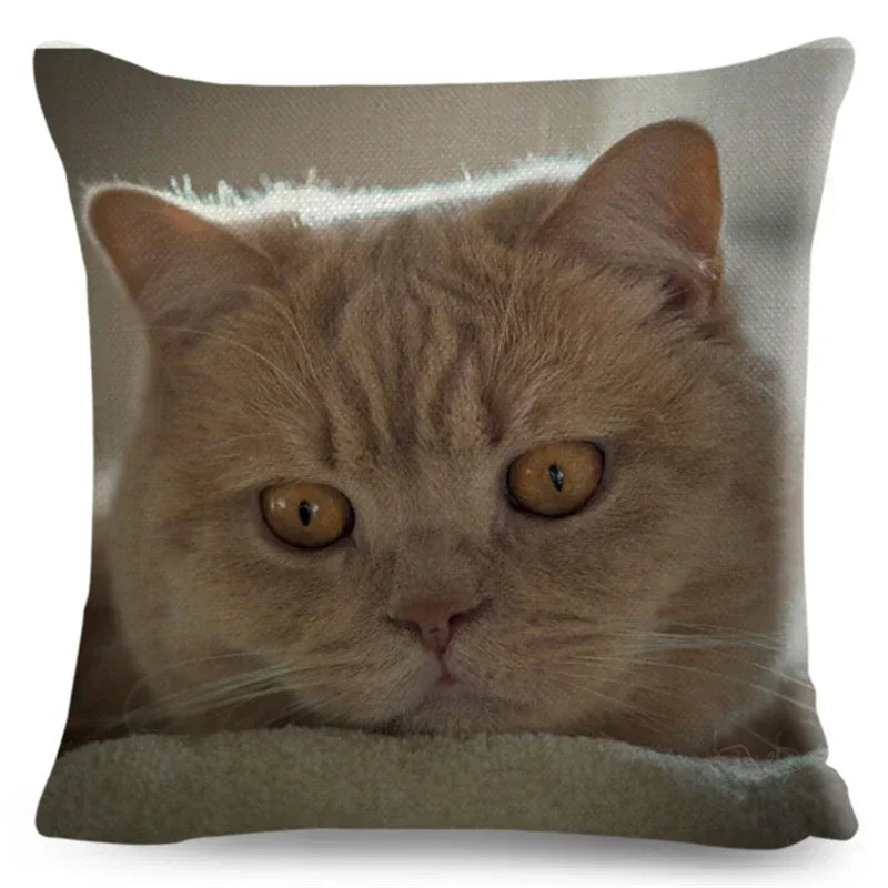 Axyaa Fold Ear Cat Pillow Covers - Set of 2 Cute Pet Pillowcases