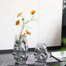 Axyaa Geometric Silver Sphere Glass Vase for Home Decoration and Plant Display