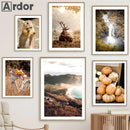 Nordic Forest Wildlife Wall Art Print by Axyaa