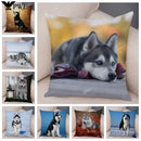 Axyaa Siberian Husky Pet Sofa Cushion Cover - Cute Dog Print Pillowcase Decor