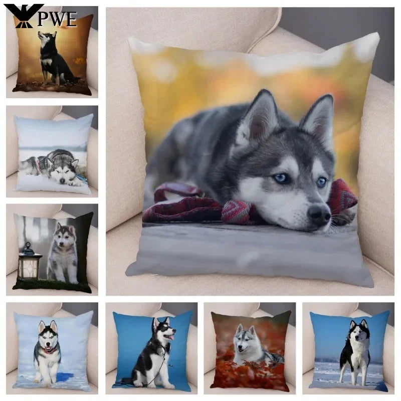 Axyaa Siberian Husky Pet Sofa Cushion Cover - Cute Dog Print Pillowcase Decor