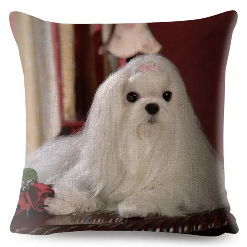 Maltese Dog Pillow Cover by Axyaa - Decorative Cushion Case for Home and Car