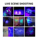 Axya UV 395nm Mini Torch Blacklight for Pet Cat Moss Urine