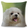 Maltese Dog Pillow Cover by Axyaa - Decorative Cushion Case for Home and Car