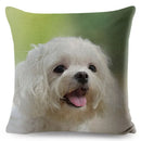 Maltese Dog Pillow Cover by Axyaa - Decorative Cushion Case for Home and Car