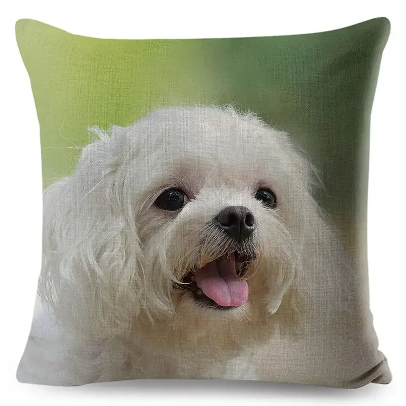 Maltese Dog Pillow Cover by Axyaa - Decorative Cushion Case for Home and Car