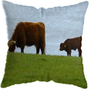 Axyaa Nordic Yak Oxen Highland Cow Cushion Cover for Home Hotel Sofa Bed