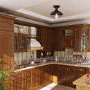 Axyaa Retro Industrial Ceiling Light for Bedroom and Corridor