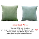 Blue Velvet Throw Pillow Cover - Axyaa Home Decoration Pillowcase