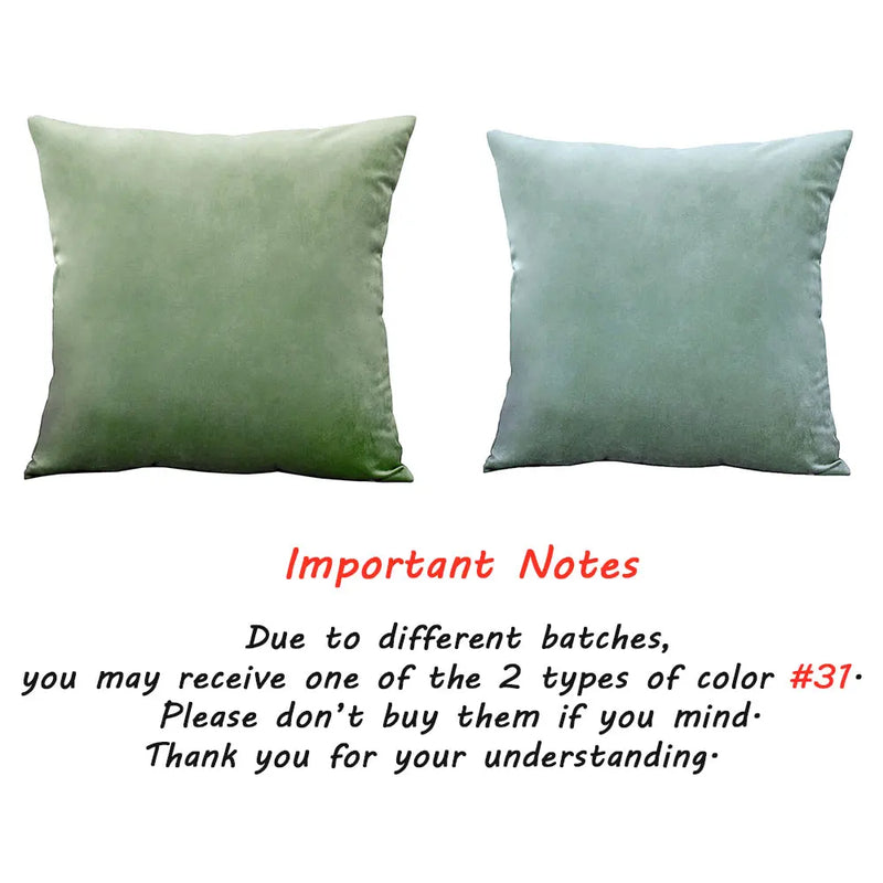 Blue Velvet Throw Pillow Cover - Axyaa Home Decoration Pillowcase