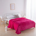 Axyaa Super Soft Reversible Mink Fleece Throw Blanket Twin Queen Size