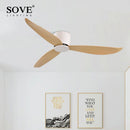 Axya Modern DC Motor Ceiling Fan 6 Speeds Timing Remote Control Decorative Fan