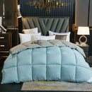 Axyaa Winter Quilted Goose Down Duvet with 100% Cotton Cover
