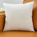 Axyaa Ultra Soft Velvet Throw Pillow Cover - Comfortable Cushion Home Decor