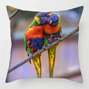 Colorful Parrots Decorative Cushion Cover by Axyaa - 45x45cm