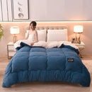 Axyaa Super Warm Lamb Wool Quilt - Winter Double-sided Velvet Blanket