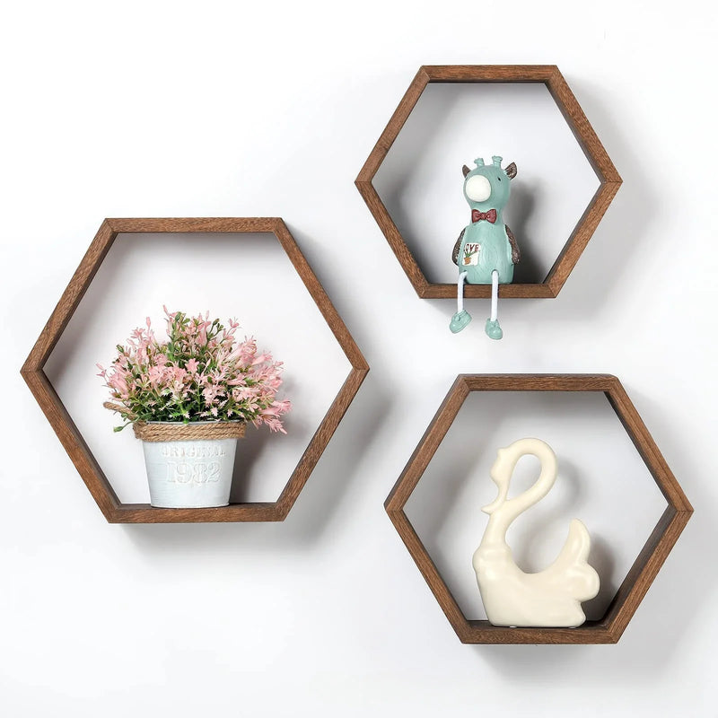 Axya Wooden Hexagonal Succulent Plant Frame Wall Decoration Frame