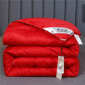 Axyaa Silk Comforter - Pure Mulberry Silk Filling, Cotton Cover, All Season Luxury
