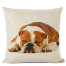 Axyaa French Bulldog Linen Cushion Cover for Cute Dog Lovers