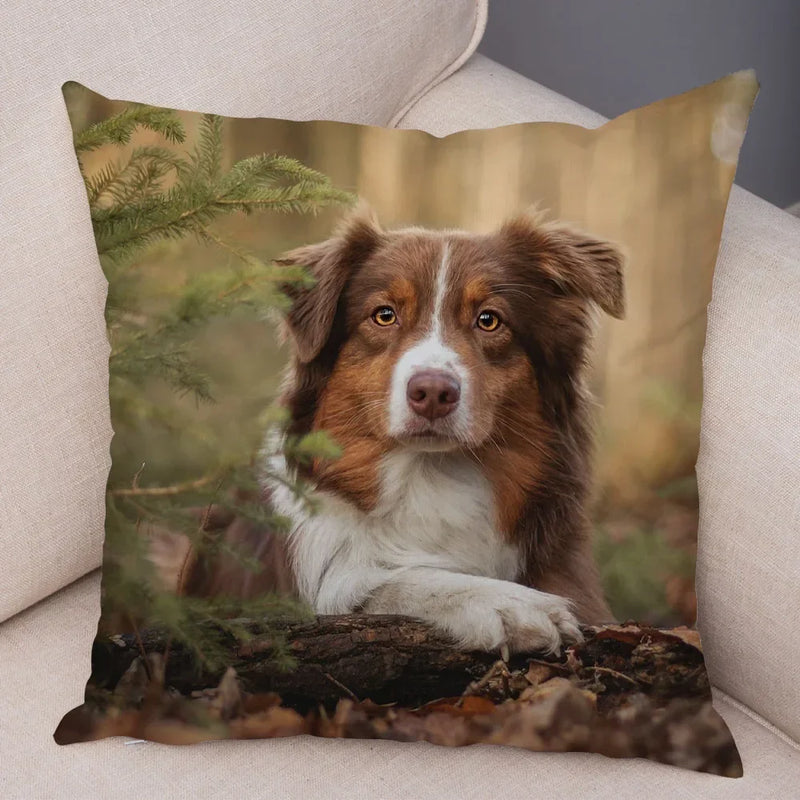 Axyaa Australian Shepherd Pillow Cover - Cute Dog Animal Cushion