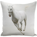 Animal Horse Printed Cushion Cover by Axyaa - Sofa Decor Pillowcase