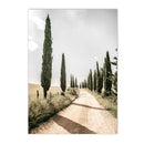Axyaa Green Tree Landscape Canvas Print - Nordic Living Room Wall Art Decor