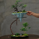 Axyaa Mangosteen Hanging Flower Pot for Home and Garden Decoration