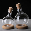 Axyaa Clear Glass Wine Decanter Bottle with Cork - 1000ml/2000ml