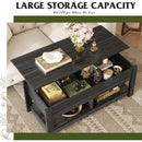 Axyaa Modern Lift Top Coffee Table - Versatile Centerpiece for Living Spaces