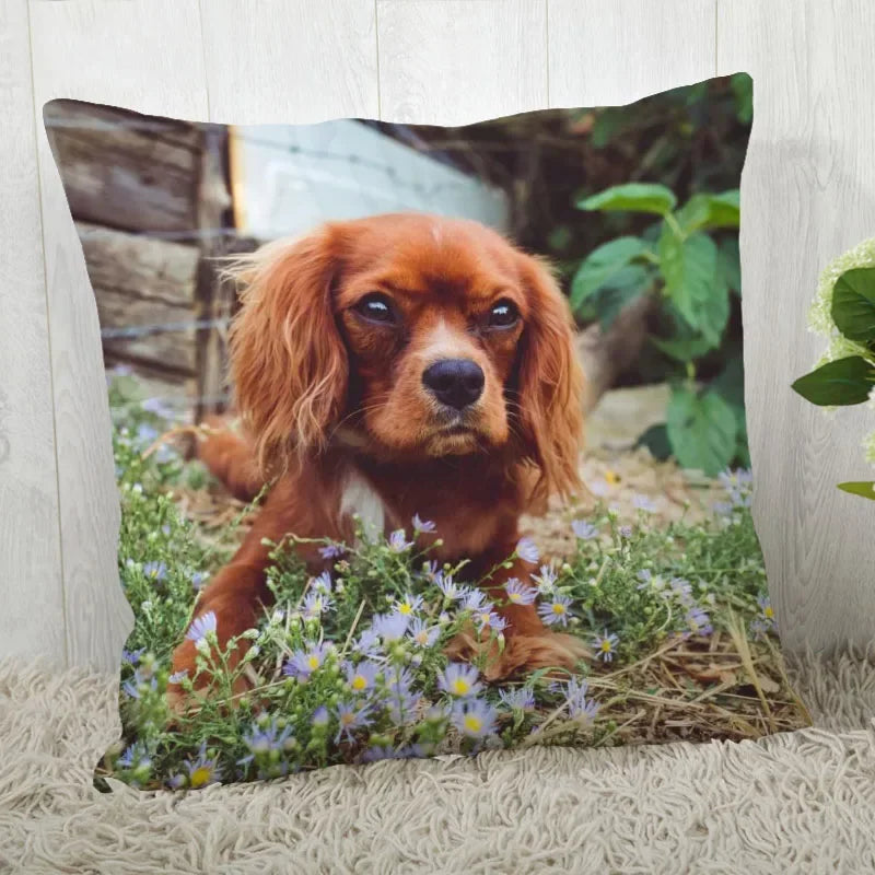 Axyaa Cocker Spaniel Sofa Cushion Cover - Creative and Simple Home Decor