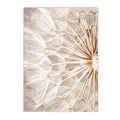 Axyaa Beige Dandelion Bunny Tail Grass Canvas Art Print Nordic Flower Poster