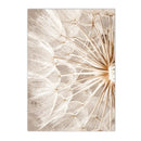 Axyaa Beige Dandelion Bunny Tail Grass Canvas Art Print Nordic Flower Poster