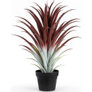 Axyaa Hyper Realistic Big Red Aloe Vera Plant 26" Tall in Matte Black Pot