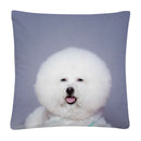Axyaa Cute Dog Photo Polyester Cushion Cover for Home Sofa Car