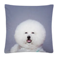 Axyaa Dog Photo Pattern Cushion Cover for Home Sofa Car Decoration