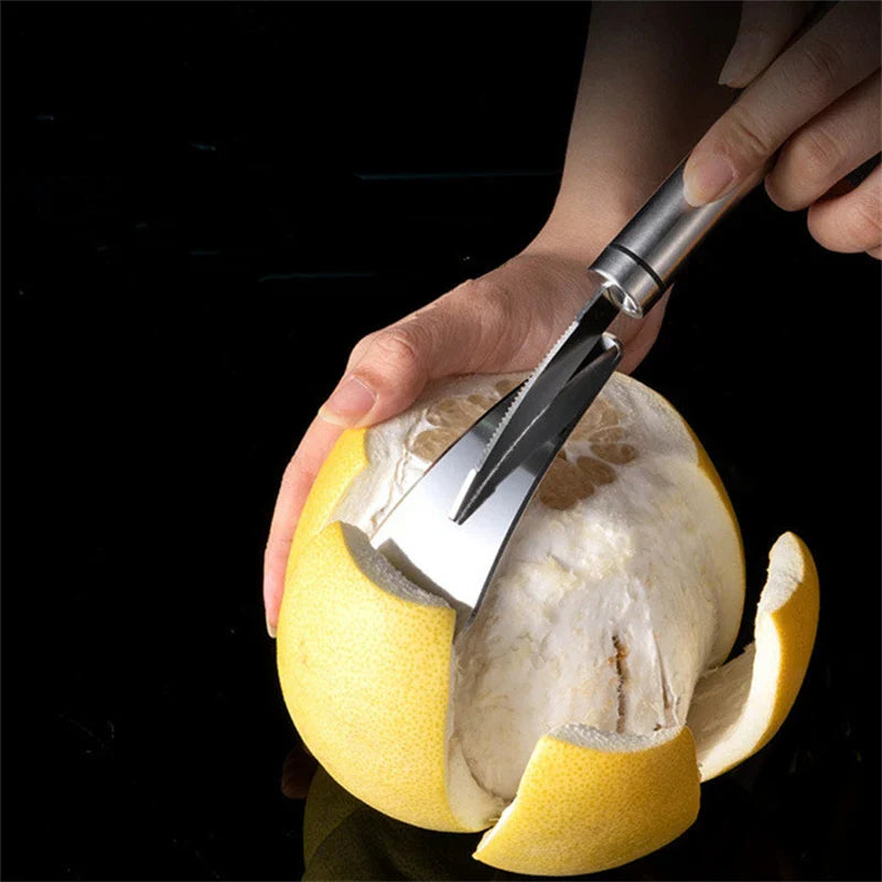 Axyaa Stainless Steel Fruit Peeler & Cutter for Citrus and Grapefruit