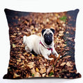 French Bulldog & Pug Dog Pillowcase by Axyaa - Decorative Animal Polyester Cushion Cover