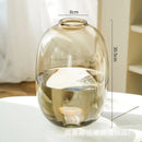 Axyaa Glass Hydroponic Vase Small Mouth Decorative Dried Flower Arrangement Craft