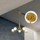Axyaa Minimalist Acrylic Cover Chandelier Wrought Iron Lighting Fixtures