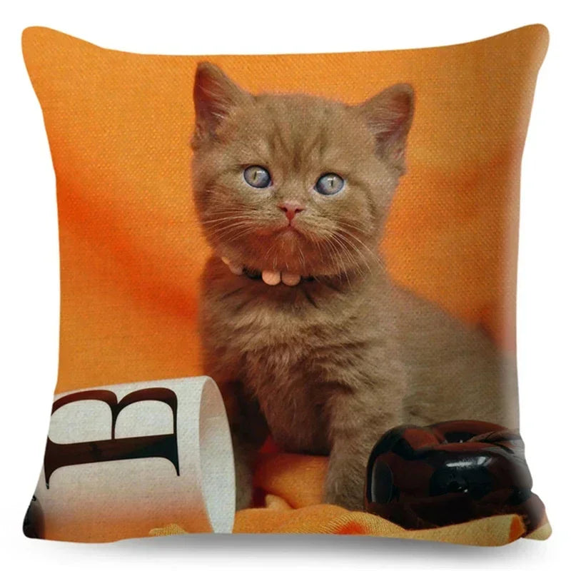 Axyaa Fold Ear Cat Pillow Covers - Set of 2 Cute Pet Pillowcases