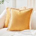 Axyaa Velvet Decorative Pillow Cover with Tassels - Orange/Ivory/Green - 18x18/20x20/24x24