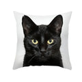 Axyaa Black Cat Pillowcases - Cute Kitty Design for Animal Lovers