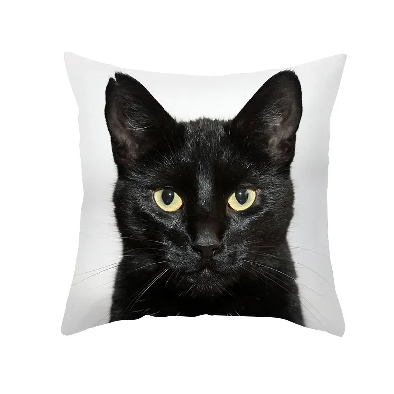 Axyaa Black Cat Pillowcases - Cute Kitty Design for Animal Lovers