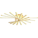 Axyaa LED Ceiling Chandelier Modern Indoor Lighting for Living Room Bedroom Hallway