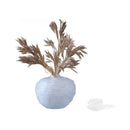 Axyaa Irregular Pleats Glass Vase for Home Decor