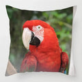 Colorful Parrots Decorative Cushion Cover by Axyaa - 45x45cm